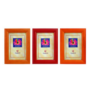 Image Art 2007-8 basic 20x30 Venice (12/24/720)