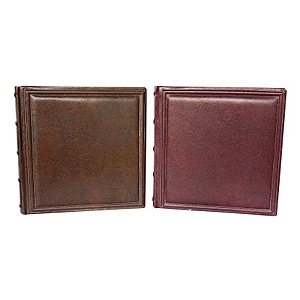 Image Art -200 10x15 (BBM46200/2) серия 042 (12/240)