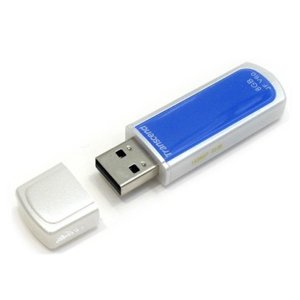 Флэш-диск Transcend 08 Gb JetFlash V60 (10)