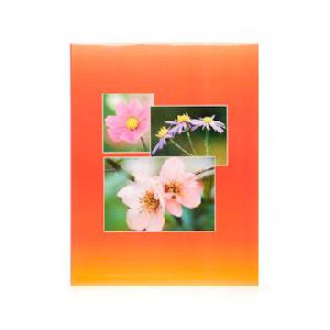 PATA 20924 серия: CJ, 100 фото, 10х15см (18/54/972)