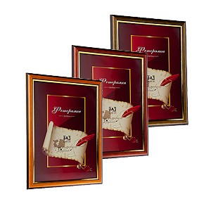 Image Art 5014-8  classic 21x30 (12/24/384)