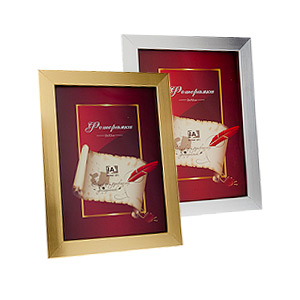 Image Art 5021-8  classic 21x30 (12/24/288)