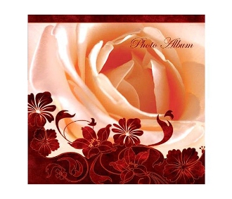 Ф/альбом SA-20-Р/23*28 серия 126 (12/480)