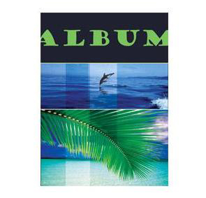 Ф/альбом SA-10-Р/23*28 серия 208 (12/576)