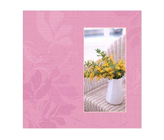 Ф/альбом SA-20-Р/23*28 серия 156 (12/480)