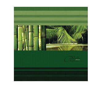 Ф/альбом SA-20-Р/23*28 серия 163 (12/480)