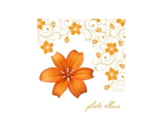 Ф/альбом SA-30-Р/23*28 серия 186 (12/480)