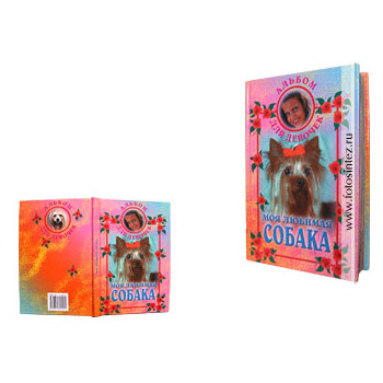 Моя любимая собака