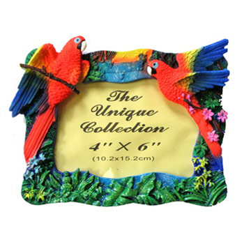 SY8602 10х15 попугай