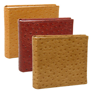 LAB46100 Ostrich team