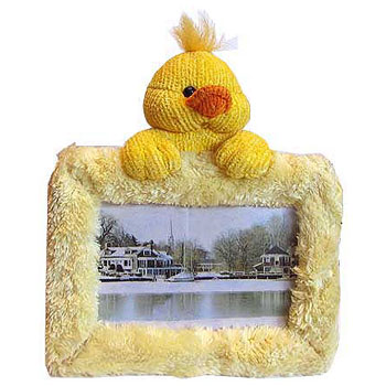 C2905/Duck (C2913) утенок 10*15