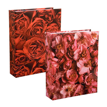 AV46200 NATURAL BEAUTY