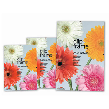 C9931 21*30 CLIP FRAME