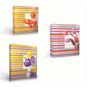 1906.300.46.BTM (7034)