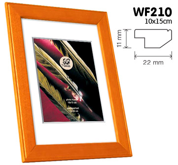 Ф/рамка деревянная WF210_10x15