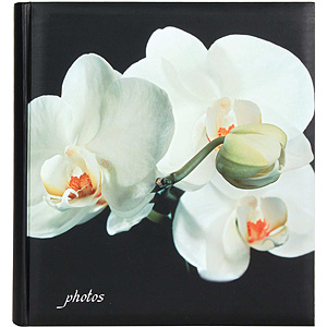 Q671708 Ф/а 100 стр. 29*32 под уголки Botanics