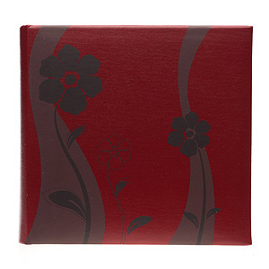 Image Art -200 10x15 (BBM46200/2) серия 007 (12/240)