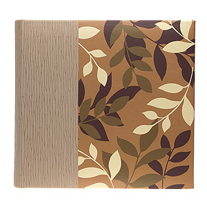 Image Art -100 10x15 (BBM46100/1) серия 009 (24/672)