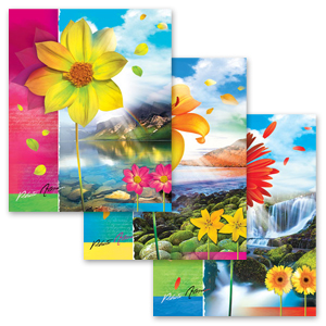 Image Art 20015 IA -200PP Цветы (12/420)