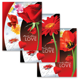 Image Art 2009 IA -200PP Цветы (12/420)