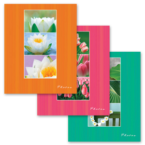 Image Art 20017 IA -200PP Цветы (12/420)