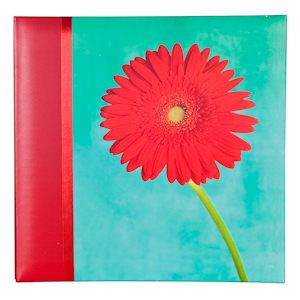 PATA 04001 серия: Gerber Daisy, 20 листов, 28х31см (6/12/108)