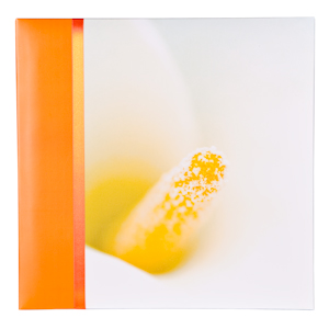 PATA 04001 серия: Calla Lily, 20 листов, 28х31см (6/12/108)