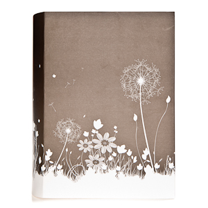 Image Art 240107 IA -240PP Цветы 10*15 (6/168)