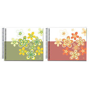 Image Art 2095 IA-20SP 23*29 (12/480)