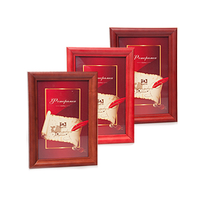 Image Art 5007-8 classic 21x30 (6/12/0)