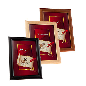 Image Art 5011-8 classic 21x30 (12/24/576)