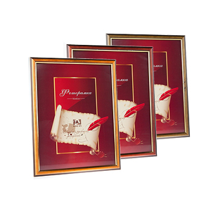 Image Art 5014-10 classic 30x40 (6/12/216)