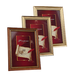 Image Art 5019-10 classic 30x40 (6/12/216)