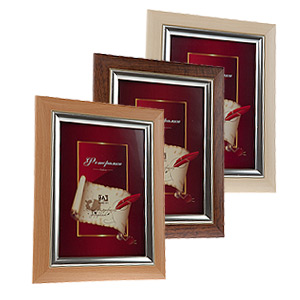 Image Art 5029-8 classic 21x30 (12/24/480)