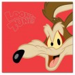  Looney Tunes LT-300 10x15 (BBM46300/2) Coyote (12)