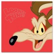  Looney Tunes LT-200 10x15 (BBM46200/2) Coyote (12)