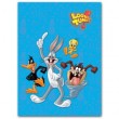  Looney Tunes LT-SA-20P/23*28 Golden collection (12/480)
