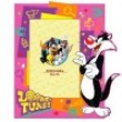 Image Art Looney Tunes / LT-04 (10x15) DOMESTIC CAT (12/48/1872)