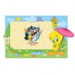 Image Art Looney Tunes LT-17 (10x15) Tweety (12/48/1728)