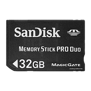       Sandisk Memory Stick DUO Pro 32 Gb (1/0/0)