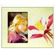      Unique Collection MB001/Flowers,  1015 