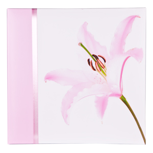       PATA 04001 : Pink Lily, 20 , 2831 (6/12)